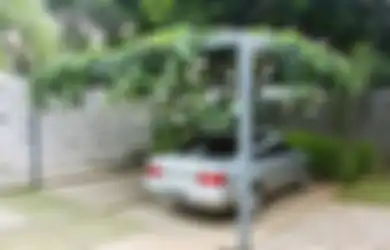 Ada Risiko Jadikan Tanaman untuk Peneduh Carport, Jangan Salah Pilih!