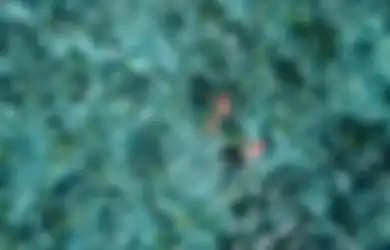 Ditantang Jadi Sutradara, Kunto Aji dan 6 Musisi Ini Berhasil Garap Tiga Film Pendek Sarat Makna