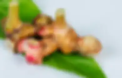Lakukan Sekarang Juga, Berikut 3 Cara Simpel Simpan Lengkuas Sehingga Dapat Membuat Bumbu Dapur Satu Ini Awet hingga Berbulan-bulan