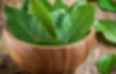 Jangan Anggap Sepele, Daun Sirsak Nyatanya Bisa Sembuhkan Penyakit Mematikan Asal Diolah Seperti Ini, Nyesel Baru Tahu Sekarang