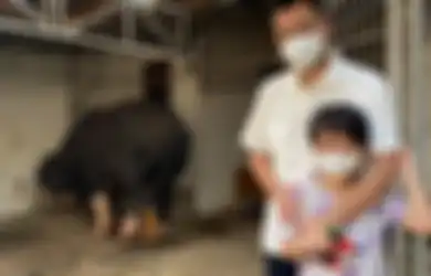 Raffi Ahmad Borong Kambing dan Sapi Tanpa Menawar, Reaksi Penjualnya yang Bikin Syok, Terungkap Fakta di Baliknya!