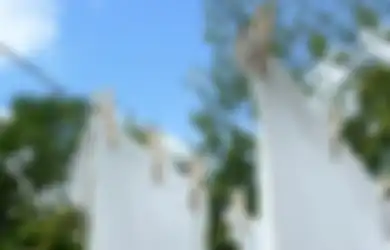 Aneka Tips Harian, Ngapain Boros Beli Baru, Mending Rendam Baju Putih dengan 2 Bahan Murah Meriah Ini, Gak Perlu Lagi Pakai Pemutih