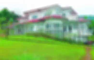 Kenali Risiko Penggunaan Kayu pada Rumah Tropis, 5 Bahan Pengganti dan Keuntungannya