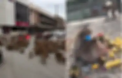Kini Kelaparan Sampai Picu Perang Antar Geng, Dua Tahun Lalu Monyet di Thailand Justru Sampai Ada yang Obesitas karena Makanan Melimpah, Bahkan Jadi Hewan Langka karena Ini