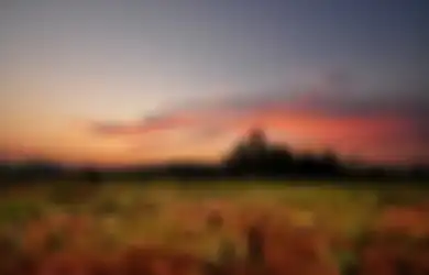 Disebut Edy Mulyadi Sebagai 'Tempat Jin Buang Anak', Rupanya di Kalimantan Ada Sebuah 'Kota Gaib' yang Tidak Terlihat, Hingga Kini Keberadaanya Masih Jadi Misteri