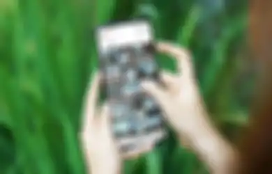 4 Tips Bikin Feed Instagram Menarik Layaknya Influencer