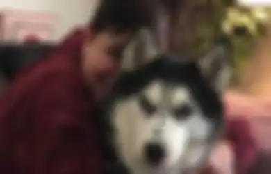 Berkat Firasat Sang Anjing, Wanita Ini Sadar Penyakit Mengerikan Sedang Menggerogoti Tubuhnya, Yang Terjadi Selanjutnya Bikin Nangis