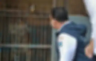 Jenguk Dua Harimau di Ragunan yang Kena Covid-19, Anies Pakai Masker, Hari & Tino Tidak!