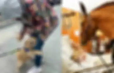 Lagi Sedih? 7 Cerita dalam Foto Simpel Ini Bikin Kita Tersenyum