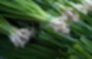 Mulai Sekarang Jangan Buang Akar Daun Bawang, Coba Cara Mudah Menanam Tanaman Sendiri di Halaman Rumah, dari Daun Bawang hingga Nanas