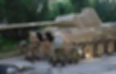 Tank Perang Dunia II Ditemukan di Ruang Bawah Tanah Seorang Pensiunan, Muncul Polemik Perihal Hukuman yang Bakal Dijatuhkan
