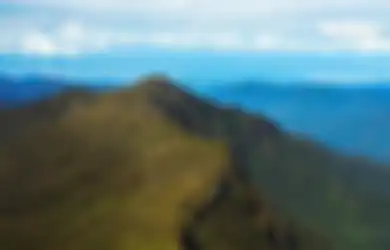 Jawaban Bentang Alam Secara Umum Pulau Sumatera Kelas 5 SD Tema 1