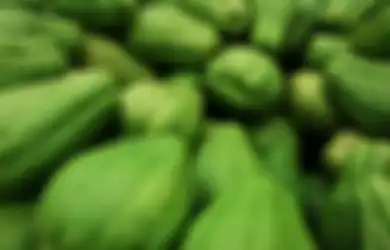 Jangan Heran dengan Perubahan yang akan Kamu Rasakan, Rutin Makan Labu Siam Ternyata Bisa Atasi Sederet Penyakit Mematikan Ini