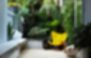 Ruang Santai di Dalam Rumah Pemandangannya Tembok, Mana Bisa Rileks? Yuk Pindahin ke Luar Saja, Ini Caranya!