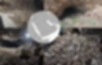 Berusia 7.000 Tahun, Ribuan Tulang Manusia dan Hewan Ditemukan di Tabung Lava Arab Saudi, Kemungkinan Ditimbun oleh Binatang Pemakan Daging Ini