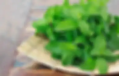 Gampang Nggak Perlu Ribet, Cuma Modal 4 Bahan Dapur Sederhana Ini, Tikus Bakal Langsung Kabur dari Rumah
