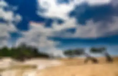 Penasaran dengan Sifat Aslimu? Jawab 4 Pertanyaan Ini dengan Spontan, Hasilnya di Luar Dugaan