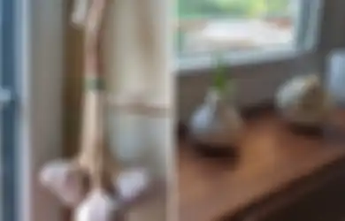 Lada Hitam, Bawang Putih hingga Cangkang Telur Bisa Digunakan untuk Mengusir Cicak dari Rumah, Begini Caranya!