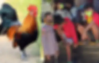 Ada yang Membawa Ayam, 113 Warga Timor Leste Ditangkap karena Memasuki WIlayah Indonesia, Apa yang Tengah Terjadi?