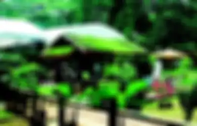 Tampil Natural dan Biaya Lebih Terjangkau, Yuk Kenali Pembuatan Taman Atap dengan Sistem Gardenroof