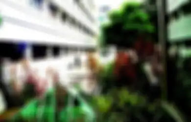  Mengenal Taman Atap Intensif dengan Ekstensif, Mana yang Lebih Mudah Pembuatannya?