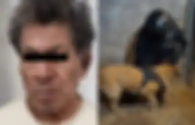 Jadi Pembunuh Berantai, Tukang Daging 72 Tahun Ini Sudah Tewaskan 17 Orang, Polisi Syok Temukan Hal Mengerikan Saat Geledah Rumahnya