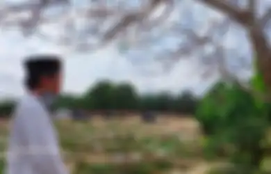 Foto Ustaz Abdul Somad Jalan-jalan ke Tanah Makam Bikin Netizen Bak Tersambar Petir, UAS Bicara Kematian: Masya Allah Ustadz