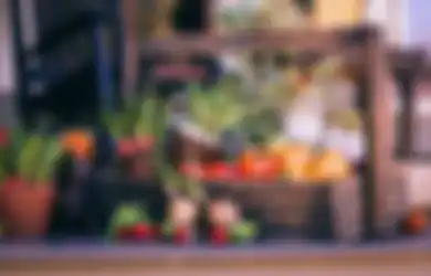 Olahraga Saja Tak Cukup, Mulai Sekarang Coba Rutin Konsumsi Buah dan Sayur Ini, Bikin Tubuh Terhindar dari Penyakit Paling Menakutkan