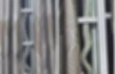 Setahun Dengar Suara Aneh Dari Atap, Pasangan Ini Gemetar Dapati Hewan Mengerikan Sepanjang 3 Meter Merangkak di Jendela, Netizen Sampai Minta Mereka Jual Rumah
