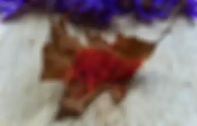 Jadi Rempah-rempah Termahal di Dunia, Inilah Sederet Manfaat Saffron untuk Kesehatan, Salah Satunya Ampuh Lawan Kanker Payudara