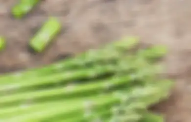 BERITA TERPOPULER: Stop! Jangan Lagi Dimakan Jenis Makanan Ini, Pertahanan yang Dia Bangun Langsung Runtuh sampai Bukan Nagita Slavina atau Syahrini