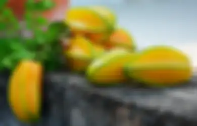 Jadi Primadona di Tengah Panas Terik, Buah Berbentuk Unik Ini Ternyata Punya Segudang Nutrisi Dan Manfaat Baik Bagi Tubuh