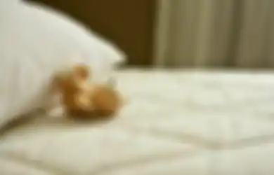 Ajaib! Noda Bekas Darah Haid yang Nempel di Kasur Langsung Hilang dalam Sekejap, Kuncinya Cuma Modal Baking Soda Saja