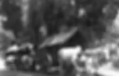 Kini Kata 'Bajingan' Dianggap Sebagai Makian, Terungkap Makna Sesungguhnya yang Bikin Melongo