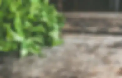 Bisa Nyesel Seumur Hidup Kalau Enggak Tahu, Mulai Sekarang Coba Rutin Minum Air Rendaman Daun Ketumbar, Dijamin Bakal Jarang Ketemu Dokter