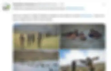 Ditinggal Amerika Sebagai Sekutu Terkuatnya, Pejuang Anti-Taliban Ungkit Rencana Balas Dendam, Bersumpah Hancurkan Taliban Sampai Tetes Darah Penghabisan