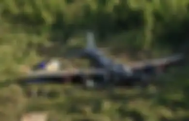‘Hantu Rawa’ B-17, Bangkai Pesawat Pengebom Perang Dunia Kedua Ini Ditemukan Setelah 68 Tahun di Hutan Papua Nugini