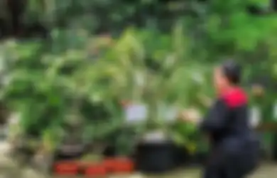 Kabar Megawati Masuk ICU RSPP Viral, Kader PDIP Ramai-ramai Unggah Foto Putri Soekarno Lakoni Hobi Ini, Netizen: Sudah Biasa
