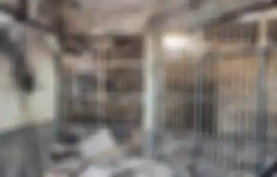 Pantas Banyak Korban Berjatuhan, Ternyata Blok Lapas Tangerang yang Terbakar Hanya Dijaga 1 Petugas, Bayangkan Jika Lapas Terpadat Se-Indonesia Ini Alami Hal Serupa