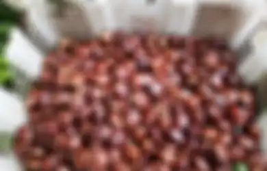 Satu Indonesia Nyesel Kalau Nggak Tahu, Jengkol Punya Manfaat Luar Biasa yang Tak Terduga
