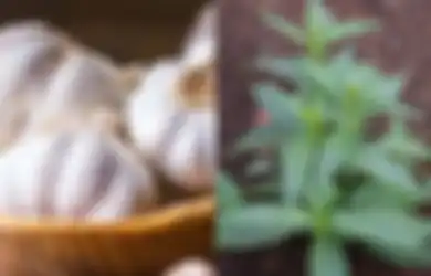 Orang Indonesia Tak Perlu Jauh-jauh Cari, Ternyata Banyak Obat Tradisional Alami Anti-HIV yang Bisa Digunakan, Mulai dari Bawang Putih Hingga Sambiloto