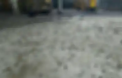 Pantas Saja Ribuan Burung Pipit di Bali Berjatuhan dan Mati, Ini Rupanya yang Diduga Jadi Penyebabnya, Perilaku Warga pun Harus Diubah 