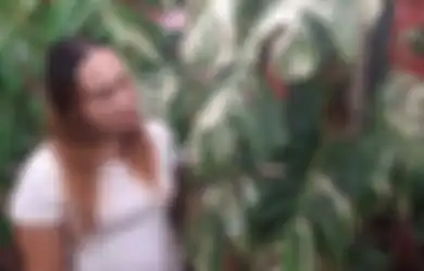 Pantas Tak Eman Gelontorkan Uang Seharga Mobil Demi Monstera Variegata, Perempuan Asal Solo Ini Ungkap Fakta Mengejutkan Soal Tanaman Hiasnya, Ternyata Udah Ditawar Berkali-kali Lipat Lebih Mahal!