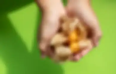 Lebih Manjur Dibanding Obat hingga Bisa Sembuhkan Penyakit Mematikan, Buah Ciplukan yang Dibuang-buang di Indonesia Ini Ternyata Dijual Mahal di Amerika, Ini Khasiatnya