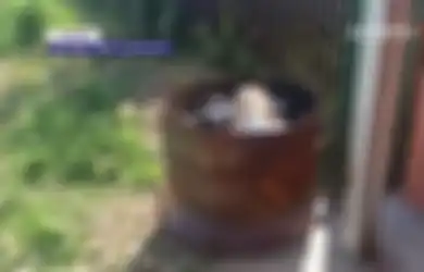 Bongkar Petunjuk Baru Kasus Pembunuhan di Subang, Polisi Curigai Rekaman CCTV yang Menampakkan Wanita Misterius Buang Bungkusan ke Tong Sampah