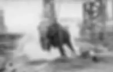Kisah Pilu Gajah Sirkus Penurut yang Dieksekusi Mati, Kerap Disiksa oleh Pelatihnya, Saat Membalas Malah Berakhir Disetrum