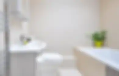 Modalnya Sangat Murah Meriah, Bau Tak Sedap di Kamar Mandi Ternyata Bisa Dihilangkan dengan Bahan Dapur Ini, Begini Caranya