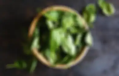 Nyesel Kalau Nggak Nyoba, Rutin Minum Air Rebusan Daun Kemangi Saat Perut Kosong Setiap Pagi Akan Rasakan Manfaat Luar Biasa Ini, Salah Satunya Bantu Turunkan Berat Badan!