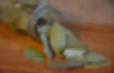 Biasa Jadi Campuran Masakan, Siapa Sangka Daun Salam Simpan Segudang Khasiat Tak Terduga, Bisa Cegah Penyakit Mematikan Ini