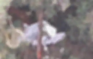 Jatuh di Wilayah Markas KKB Papua Pimpinan Zakius, Penampakan Puing Pesawat Rimbun Air Bikin Syok, 3 Kru Ditemukan Meninggal Dunia